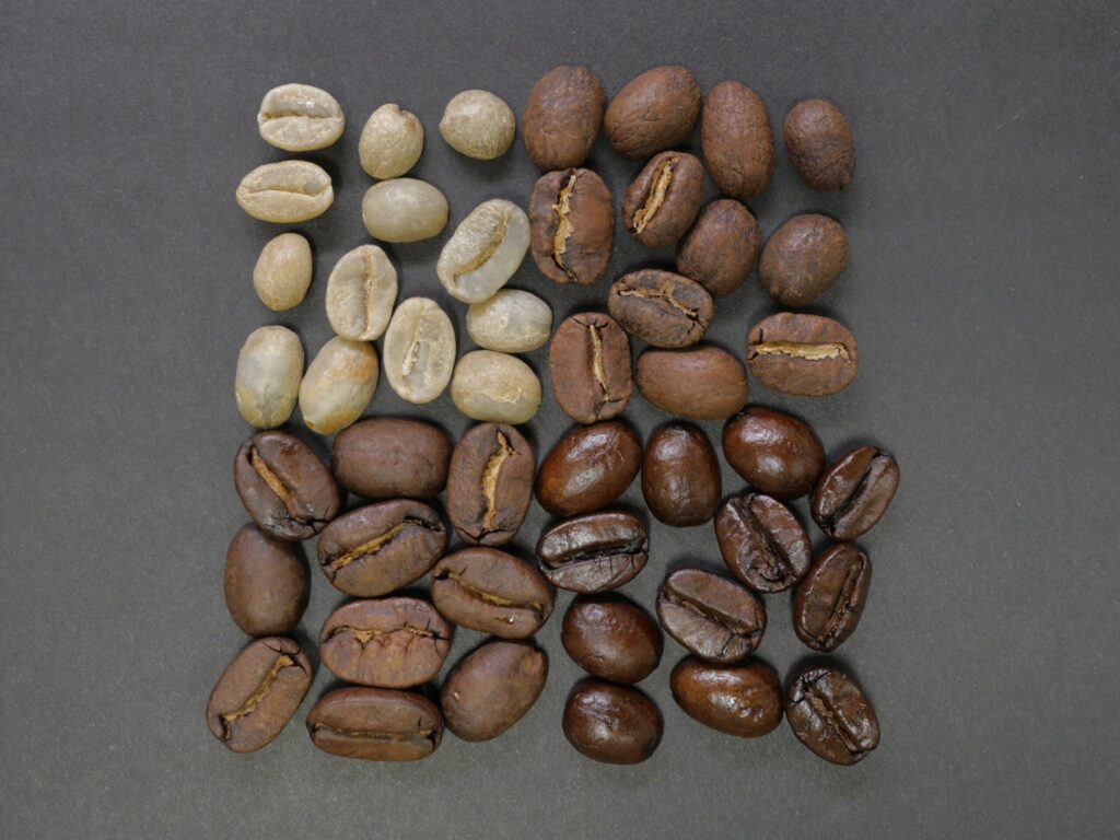 The Main types of coffee beans